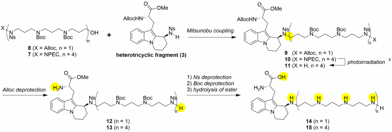 2019年度の取り組み (#1/2) | Our Research | 創薬有機化学研究室（及川ラボ、Ver 9.0）